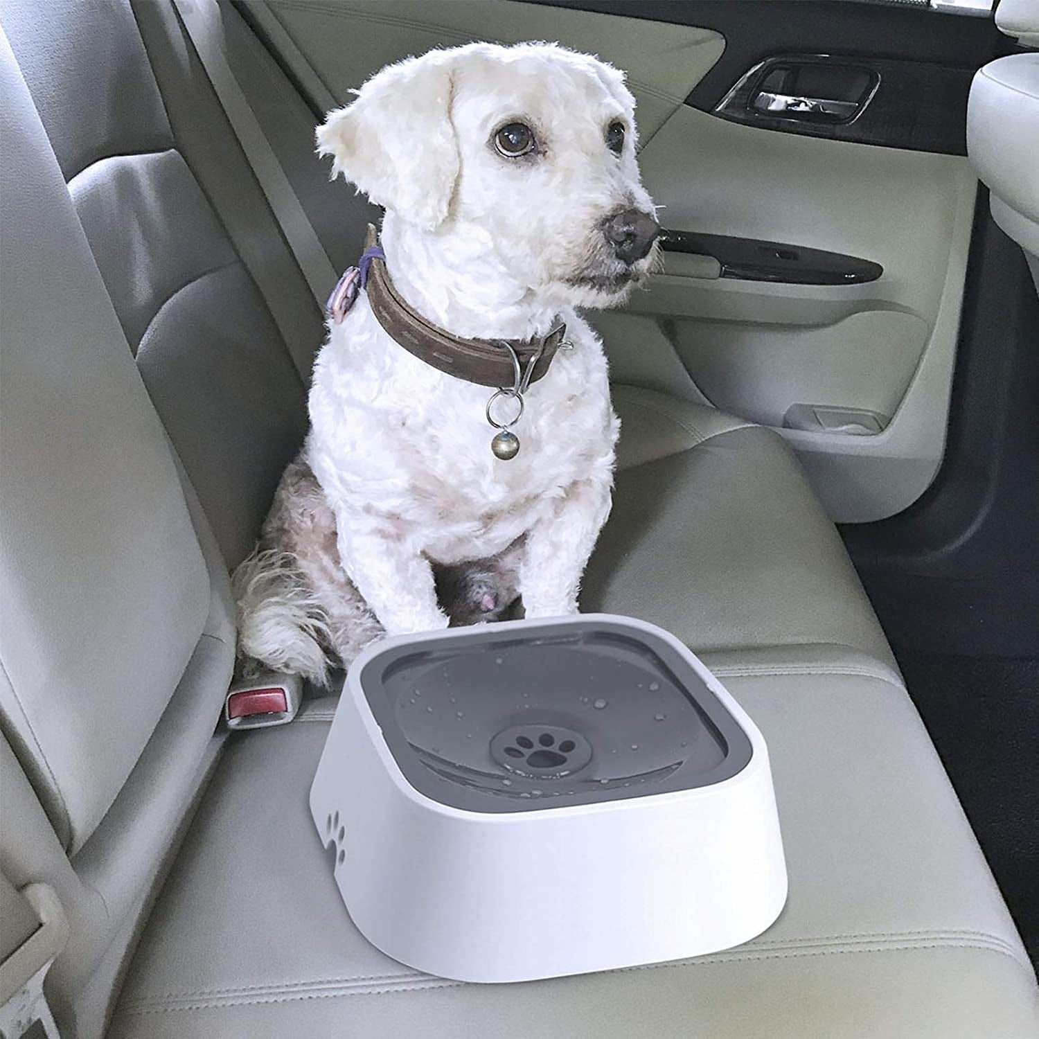 Spill Pet Water Bowl