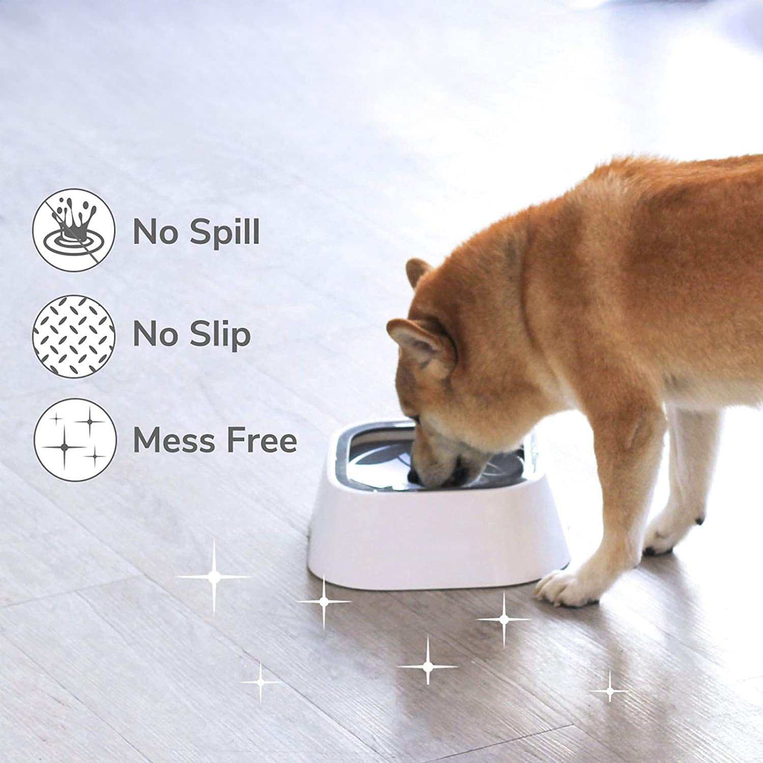 Spill Pet Water Bowl