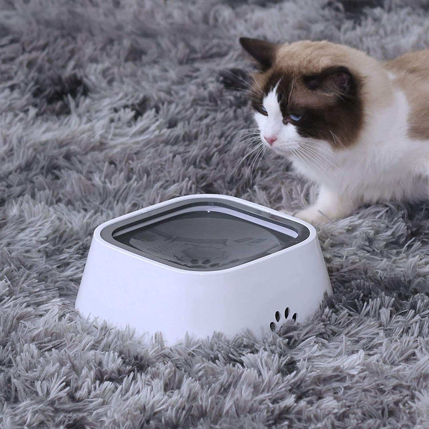 Spill Pet Water Bowl