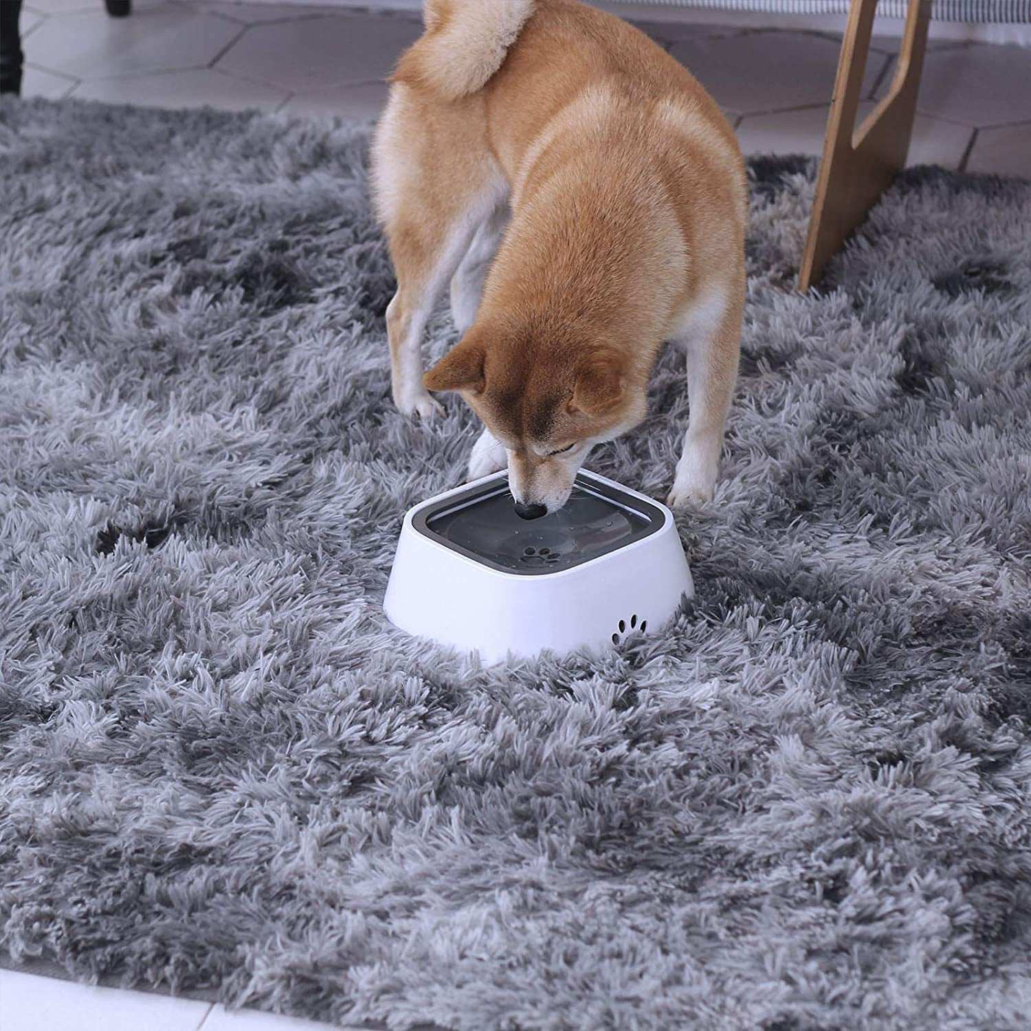 Spill Pet Water Bowl