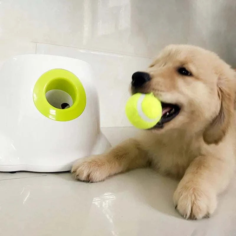 Automatic Pet Ball Launcher