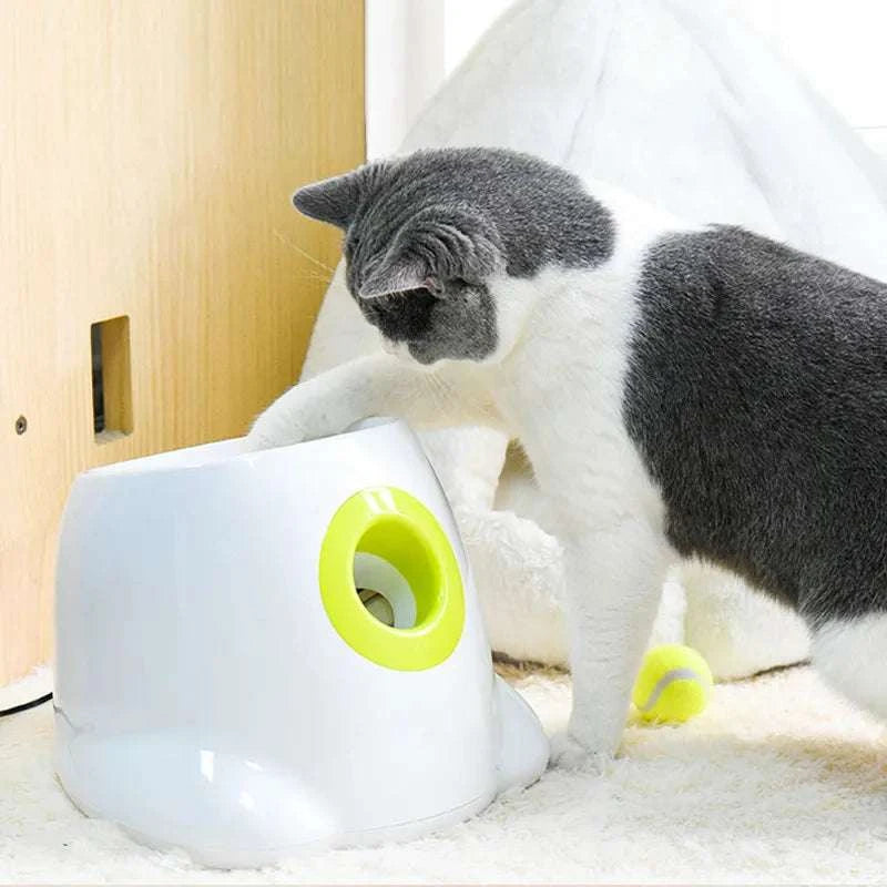 Automatic Pet Ball Launcher