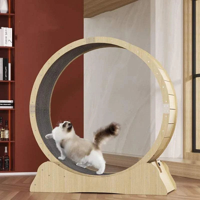 Cat Exercise Wheel