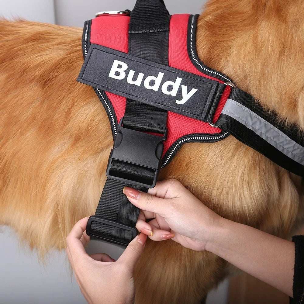 Personalized Dog Harness